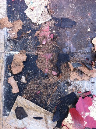 White Oak Hardwood Floor Termite Damage Repair Laguna Beach photo 1