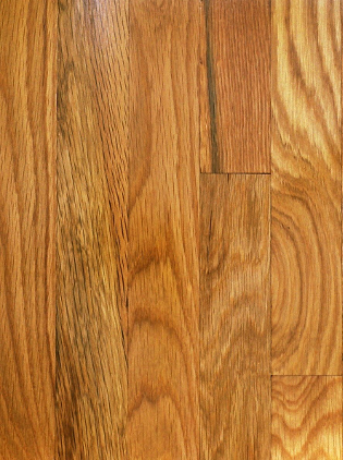 White Oak Hardwood Floor Termite Damage Repair Refinishing Laguna Beach photo 4