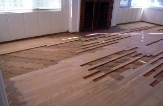 Laguna Beach Urine Stains Termite Damage Oak Hardwood Floor Repair image 2